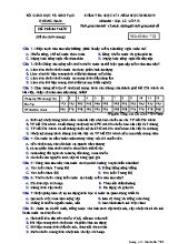 Đề kiểm tra học kì I môn Địa lý Lớp 12 - Mã đề 722 - Năm học 2018-2019 - Sở giáo dục và đào tạo Quảng Nam
